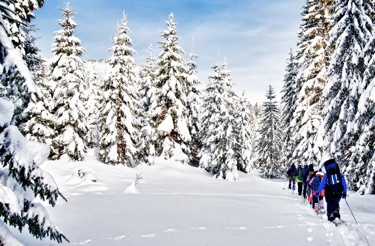 Vancouver's Top Snowshoe Tour! — Best Bike Tours in